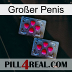 Großer Penis 14